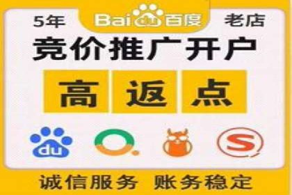 专业sem托管服务案例，揭秘广告投放优化策略